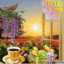 Hello Wednesday Rising Sun GIF