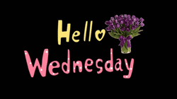 Hello Wednesday Violet Flower Bouquet GIF