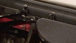 Hello World Typewriter GIF