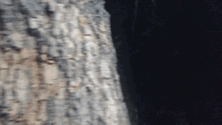 Helmet Made Of Tin Foil Hat  GIF