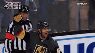 Helmeted Hockey Player Talking To Another GIF