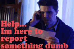 Help Im Here To Report Something Dumb GIF