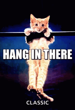 Help Is On The Way Dear Hanging Cat GIF