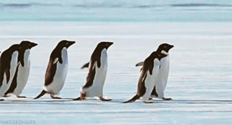 Help Is On The Way Dear Raft Coming GIF