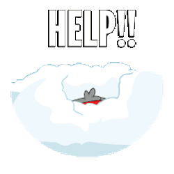 Help Penguin Sticker GIF