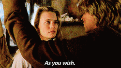 Helpful Man Says As You Wish GIF
