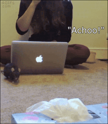 Helpful Mouse Getting A Tissue GIF