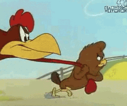 Henery Hawk Pulling Foghorn Leghorn GIF