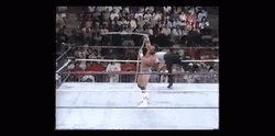 Hercules Hercules Body Builder Jobber GIF
