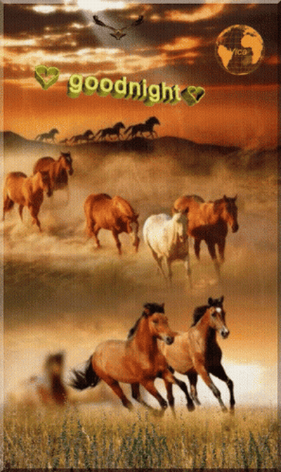 Herd Of Horses Saying Goodnight GIF