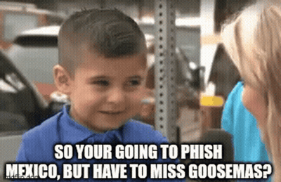 Herdreamsmymemes GIF
