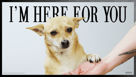 Here For You Puppy Dog Eyes GIF