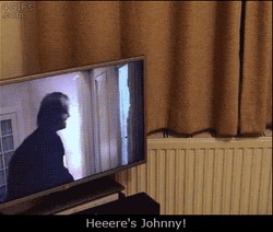 Here's Johnny The Shining Cat GIF