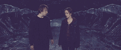 Hermione And Weasley Sharing Passionate Kiss GIF