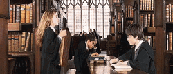 Hermione Give Books To Harry Potter GIF