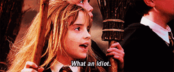Hermione Granger Fictional Character GIF