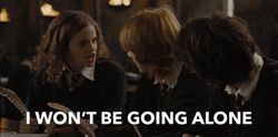 Hermione Granger Hogwarts Student GIF