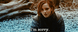 Hermione Granger I'm Sorry GIF