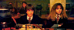 Hermione Granger Raises Hand GIF