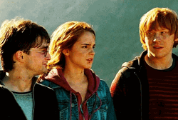 Hermione Granger Ron And Harry GIF