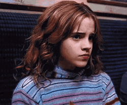 Hermione Granger Shakes Head GIF