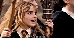 Hermione Holding A Broom GIF