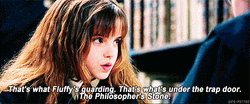 Hermione In Philosopher's Stone GIF