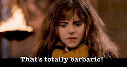 Hermione Saying That's Barbaric GIF