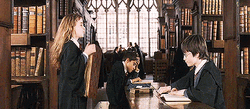 Hermione Slamming Book At Potter GIF
