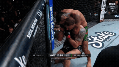Hernandez Vs Dolozize UFC Fight On Screen GIF