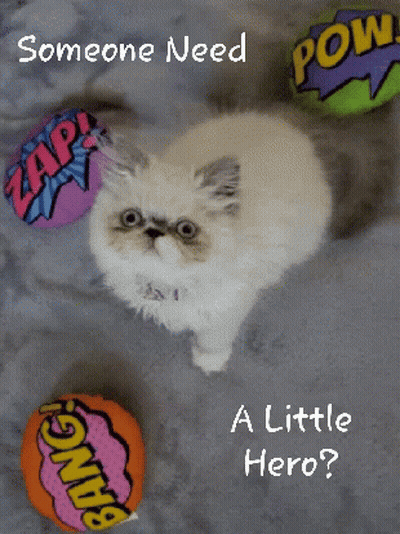 Hero Poster With Cat And Comics Balls GIF
