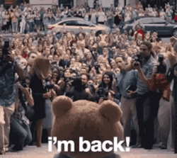 Hes Back Ted Teddy Announced GIF