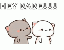 Hey Babe Kissing Cat GIF