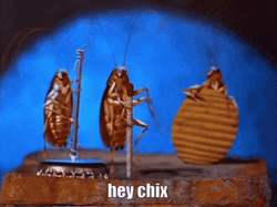 Hey Chix Dancing Cockroach GIF
