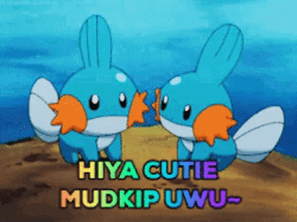 Hey Cutie Mudkip GIF