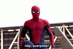 Hey Everyone Spider Man GIF