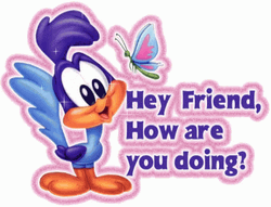 Hey Friend Road Runner GIF