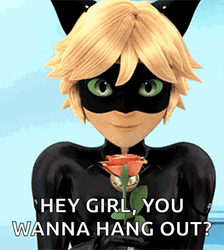 Hey Girl Miraculous Cat Noir GIF
