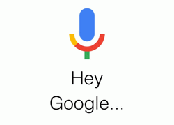 Hey Google Hey Siri Hey Alexa GIF