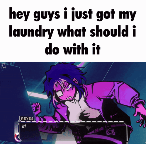 Hey Guys I Just Got My Laundry What Should Do With It GIF
