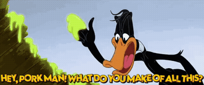 Hey Porkman What Do You Make Of All This GIF