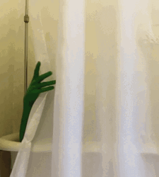 Hey Shrek Shower Time GIF