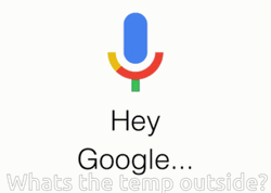 Hey Siri What's The Temperature Outside GIF