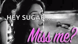 Hey Sugar Missed Me GIF