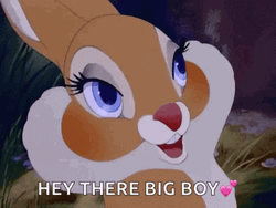 Hey There Big Boy Thumper GIF
