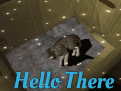 Hey There Cat In A Box GIF
