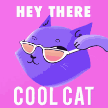 Hey There Cool Cat Wink Sticker GIF