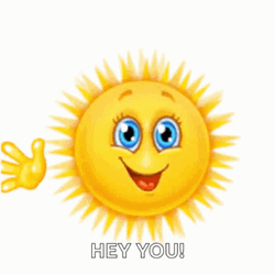 Hey You Waving Sun Hello