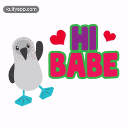 Hi Babe Cute Bird GIF