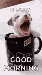 Hi Babes Good Morning GIF